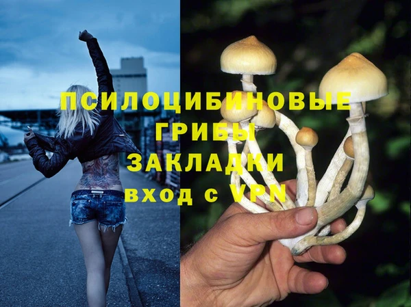 mdpv Волосово