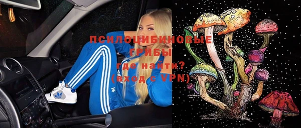 гидра Верея