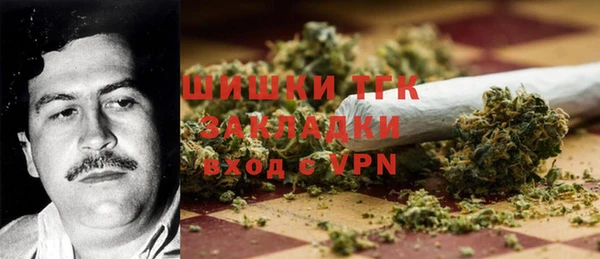 гидра Верея